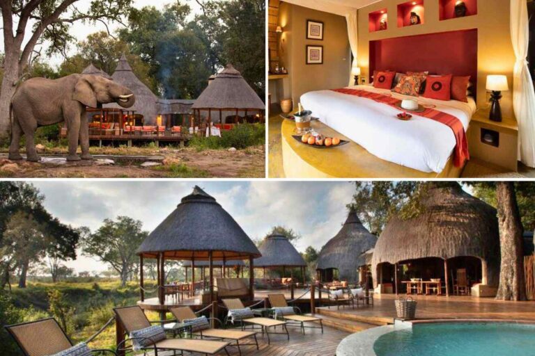 Compare Luxury Safari Lodge Packages: Definitive Expert Guide