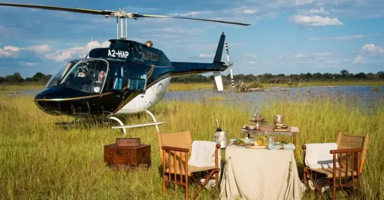 Top Luxury Safari Expedition Plans: Definitive Expert Guide