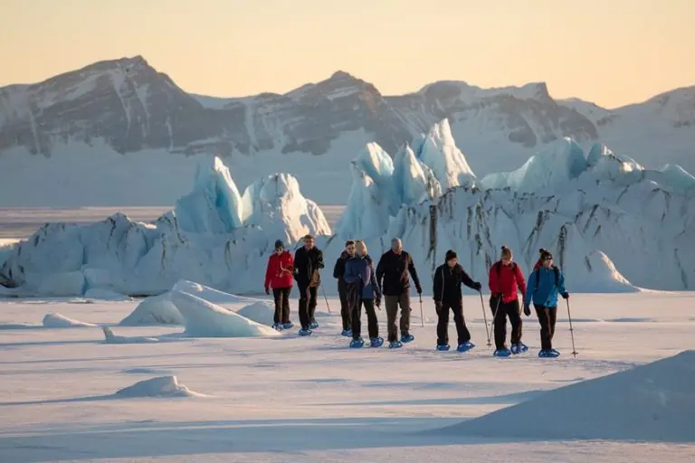How to Plan Luxury Polar Expeditions on a Budget: Expert Guide